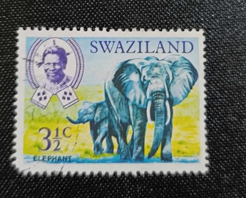 Swaziland _ damgalı pul
