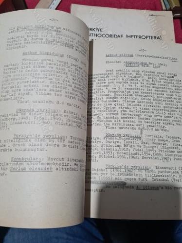 TÜRKİYE PENTATOMOİDEA ÜST FAMİLYASI ÜZERİNDE ARAŞTIRMALAR