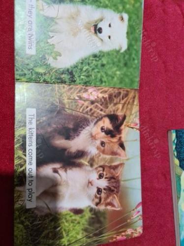 Fun and frolic - Sunschein Series - Age 1-4 Years