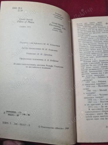 Огненное порубежье. Боль