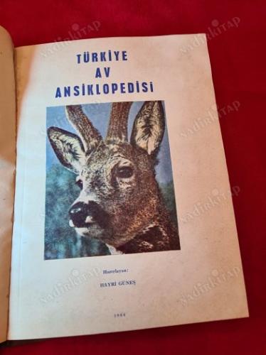 TÜRKİYE AV ANSİKLOPEDİSİ