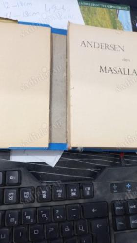 ANDERSEN'DEN MASALLAR
