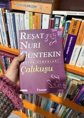 Çalıkuşu