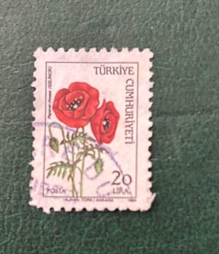Türk Pulu - Turkish Stamp - Postadan Geçmiş Pul Filateli - Damgalı - GELİNCİK ÇİÇEĞİ TEMALI PUL , 20 LİRA - Türkiye Cumhuriyeti - NOSTALJİK DOĞUM GÜNÜ HEDİYESİ