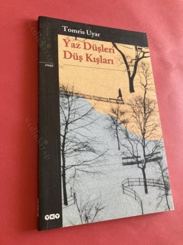 YAZ DÜŞLERİ DÜŞ KIŞLARI