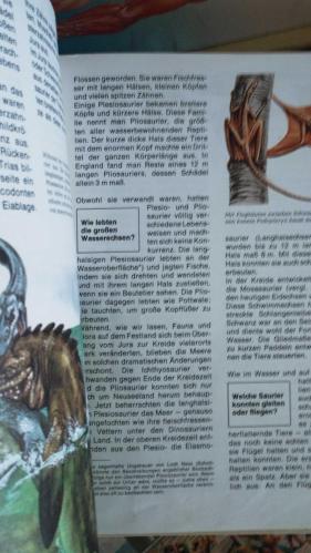 Dinosaurier - was ist was
