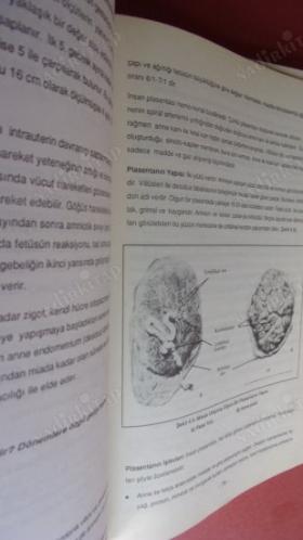 HEMŞİRELİK ÖNLİSANS EĞİTİMİ Doğum Ve Kadın Hastalıkları Hemşireliği - ANADOLU ÜNİVERSİTESİ