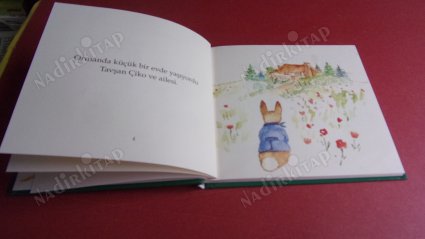 TAVŞAN ÇİKO'NUN DİLEĞİ AYSUN BERKTAY ÖZMEN