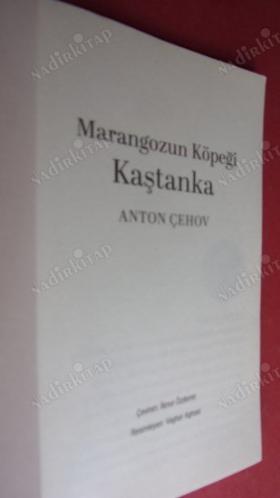 MARANGOZUN KÖPEĞİ KAŞTANKA
