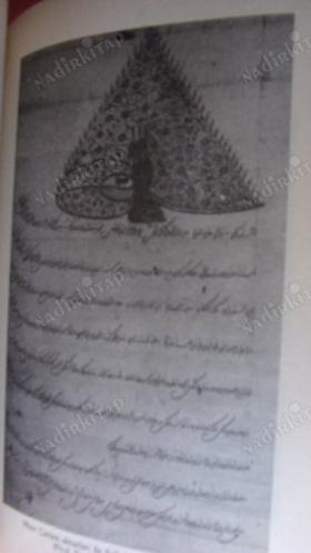 ŞİFALI BİTKİLER DOĞAL İLAÇLARLA GELENEKSEL TEDAVİLER