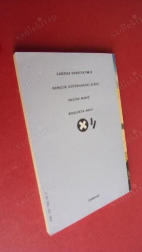 BOŞLUKTA MAVİ (birinci Baskı )