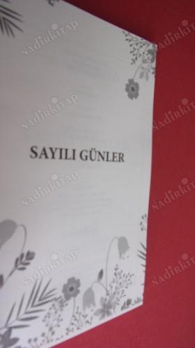 SAYILI GÜNLER