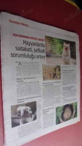HERKESE BİLİM TEKNOLOJİ KÜLTÜR ve DÜŞÜNCE DERGİSİ SAYI: 156-2019- Yeni savaş alan : kuzey kutbu..