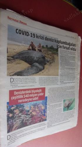HERKESE BİLİM TEKNOLOJİ KÜLTÜR ve DÜŞÜNCE DERGİSİ SAYI: 214-2020-İnsan evriminin temel sorusunda başa döndük! Atamız kim?