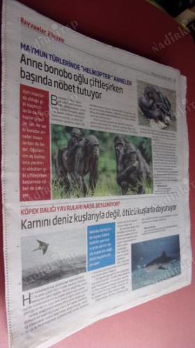 HERKESE BİLİM TEKNOLOJİ KÜLTÜR ve DÜŞÜNCE DERGİSİ SAYI: 168-2019-Ekonomi neden çöküşte? çıkış önerileri.