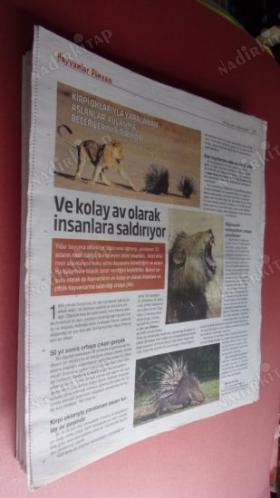 HERKESE BİLİM TEKNOLOJİ KÜLTÜR ve DÜŞÜNCE DERGİSİ SAYI: 169-2019-Acıyı sadece insanlar yaşamaz hayvanlarda yas tutar!