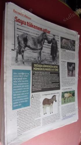 HERKESE BİLİM TEKNOLOJİ KÜLTÜR ve DÜŞÜNCE DERGİSİ SAYI: 178-2019-Merak. yaratıcılık ve yetenek süper insan leonardo da vinci..