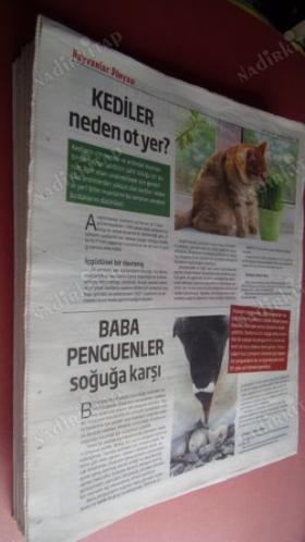 HERKESE BİLİM TEKNOLOJİ KÜLTÜR ve DÜŞÜNCE DERGİSİ SAYI: 179-2019 - ÇİN BİLİMDE BAYRAĞI KAPTI. KOŞUYOR.