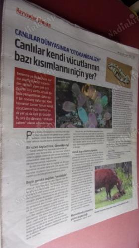 HERKESE BİLİM TEKNOLOJİ KÜLTÜR ve DÜŞÜNCE DERGİSİ SAYI: 180-2019- Amazon ormanları: eşitsizliğin bedelini dünya ağır ödüyor: