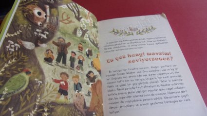 Orman Kaşifleri