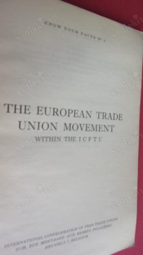 TEHE EUROPEAN TRADE UNION MOVEMENT WITHIN THE ICFTU