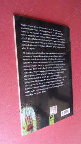 KIRIK KANATLAR