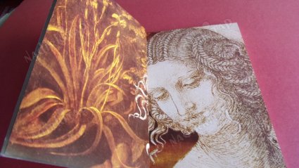LEONARDO DA VINCI EVREN BİLİMİ VE SANATI