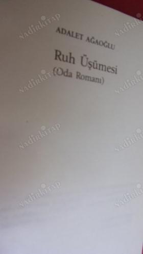 RUH ÜŞÜMESİ ( ODA ROMANI )