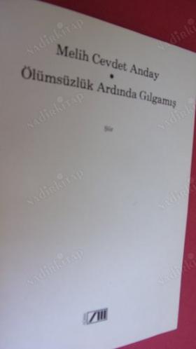 ÖLÜMSÜZLÜK ARDINDA GILGAMIŞ