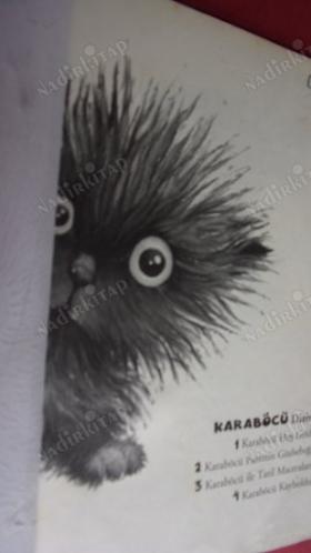 KARABÖCÜ HOŞGELDİ (KARA BÖCÜ SERİSİ 1)