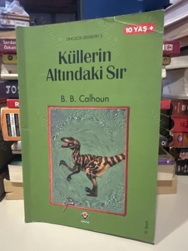 KÜLLERİN ALTINDAKİ SIR