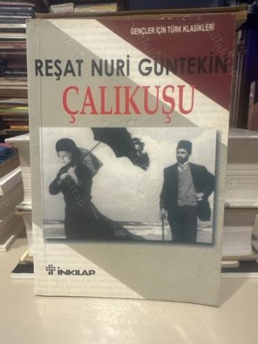 ÇALIKUŞU ---- ( gençler için türk klasikleri 100 TEMEL ESER -- özet roman)