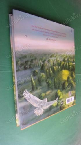 HARRY POTTER AND THE CHAMBER OF SECRETS / ILLUSTRATED EDITION Sırlar odası resimli özel baskı
