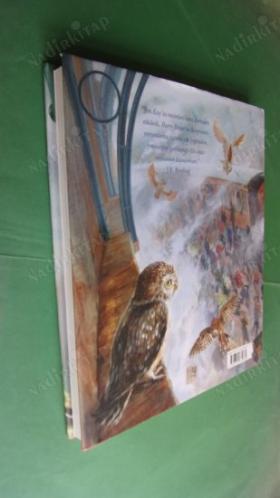 HARRY POTTER VE FELSEFE TAŞI * resimleyen. JIM KAY (BÜYÜK BOY, RESİMLİ ÖZEL BASKI, CİLTLİ, ŞÖMİZLİ)
