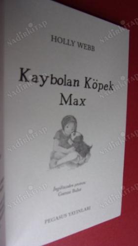 Kaybolan Köpek Max