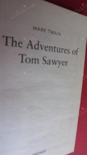 THE ADVENTURES OF TOM SAWYER