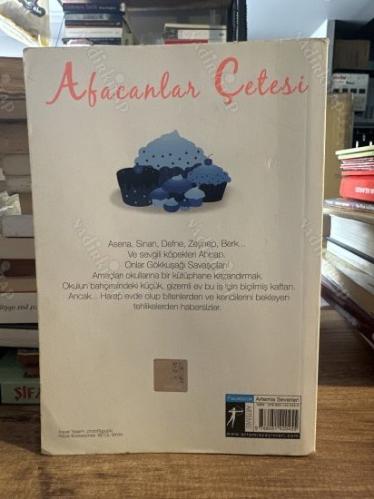 AFACANLAR ÇETESİ
