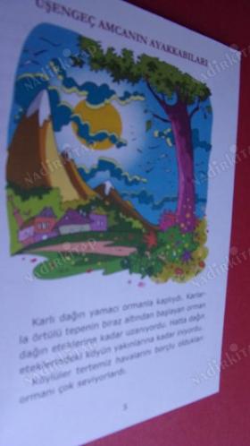 ÜŞENGEÇ AMCANIN AYAKKABILARI