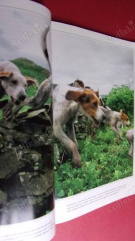 THE NATIONAL GEOGRAPHIC MAGAZINE- vol 186 no:2 august 1994 kapak:LIONS OF DARKNESS