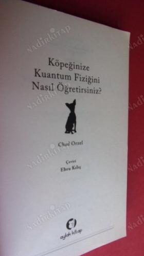 KÖPEĞİNİZE KUANTUM FİZİĞİNİ NASIL ÖĞRETİRSİNİZ ?