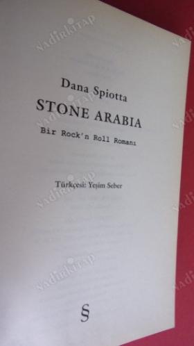 STONE ARABİA BİR ROCK'N ROLL ROMANI