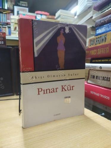 Akışı Olmayan Sular