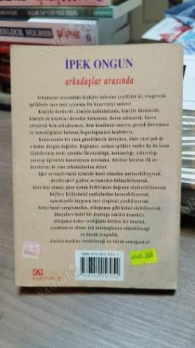 ARKADAŞLAR ARASINDA (BİR GENÇ KIZIN GİZLİ DEFTERİ 2)