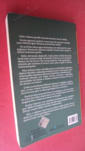 GÜZELLİK TOHUMU- Yaratıcının Gücü - Her Tohum Ağaç Olma Potansiyeline Sahiptir