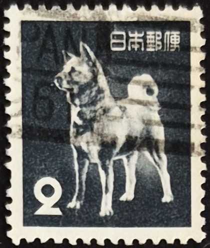 +++  JAPONYA AKİTA KÖPEĞİ     1980    - DAMGALI