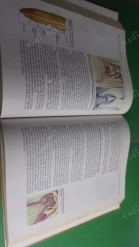 BİOLOGY SILVER BURDETT .