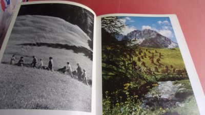ALLGAU - URLAUB (SİYAH BEYAZ YARISI )