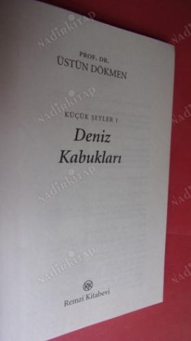 KÜÇÜK ŞEYLER DENİZ KABUKLARI
