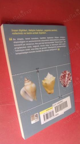 KÜÇÜK ŞEYLER DENİZ KABUKLARI