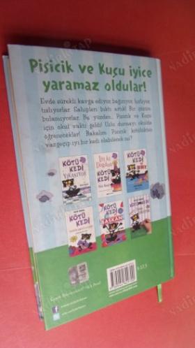KÖTÜ KEDİ OKULU KARIŞTIRIYOR